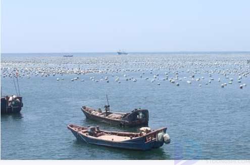 破釜沉舟是什么意思(破釜沉舟是什么意思 百二秦关终属楚)