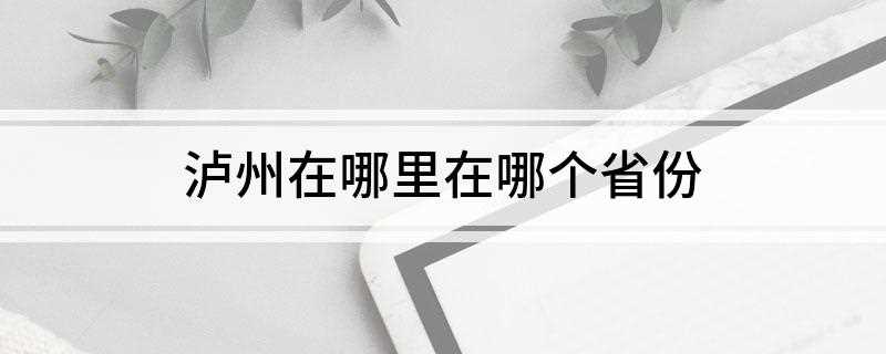 泸州在哪里在哪个省份(泸州在什么省份)