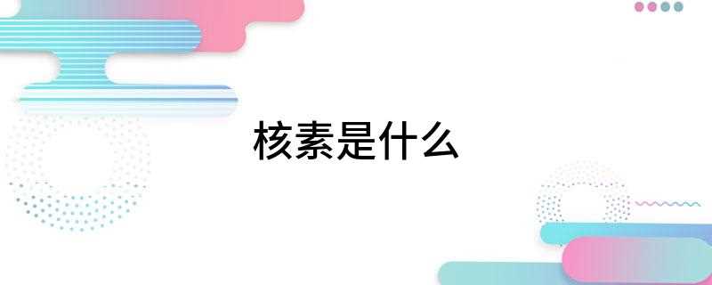 核素是什么(核素是什么病)