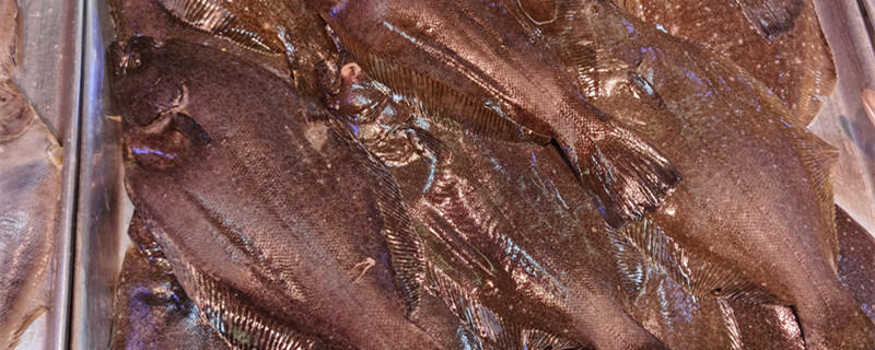 牙片鱼多少钱一斤牙片鱼怎么看新不新鲜(牙片鱼产自哪里)