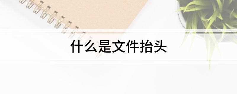 什么是文件抬头(什么是文件抬头签名)