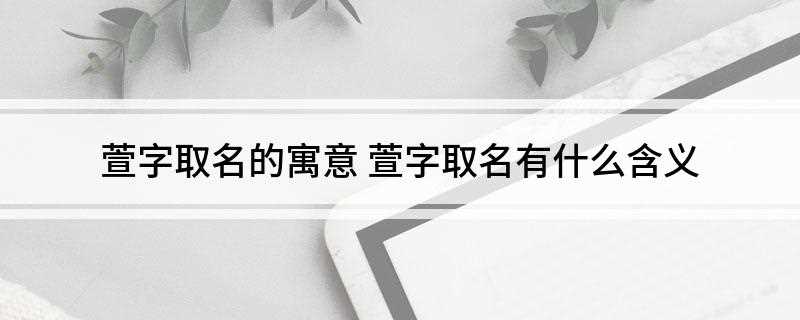 萱字取名的寓意(萱字取名的寓意和象征意义)