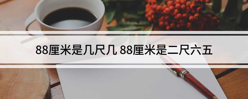 88厘米是几尺几(88厘米是几尺几的腰或几码裤子)