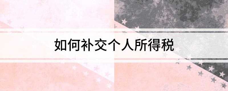 如何补交个人所得税(如何补交个人所得税缴税)