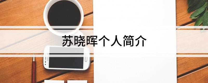 苏晓晖个人简介(苏晓晖个人简介军衔 个人资料)