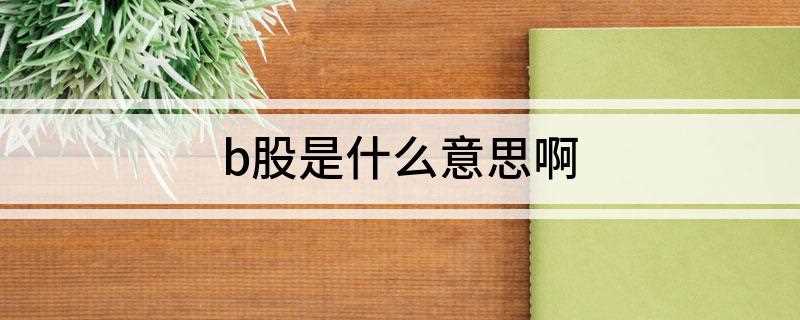 b股是什么意思啊(什么是a股b股h股 他们有何区别)