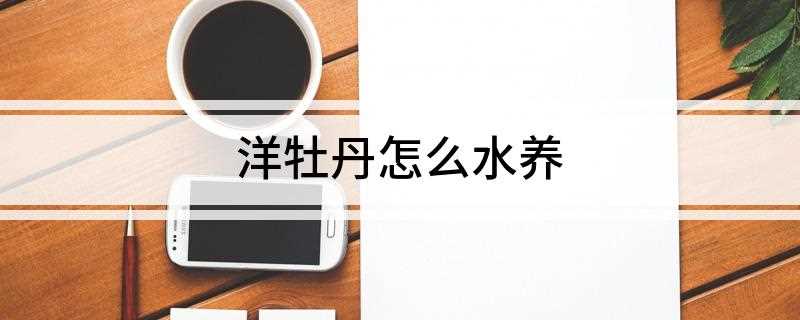 洋牡丹怎么水养(洋牡丹水养花期多久)