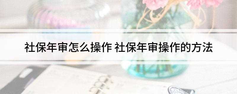 社保年审怎么操作(个人社保年审怎么操作)