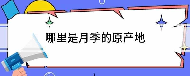 哪里是月季的原产地(月季原产地在哪个国家)