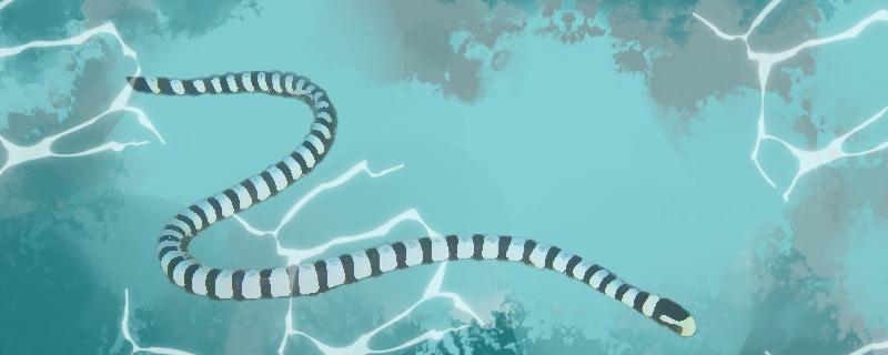 蛇在水里会不会淹死什么蛇不怕水(蛇在水中会死吗)