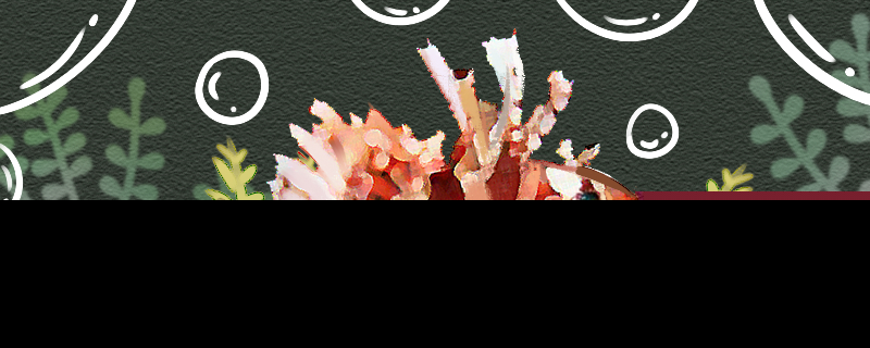 短须狮子鱼好养吗怎么养(短须狮子鱼好养吗怎么养的)