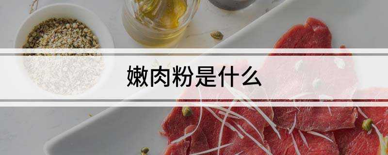 嫩肉粉是什么(能让肉变嫩的粉是什么粉)