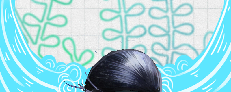 军帽螺经常产卵吗产的卵怎么处理(军帽螺卵多久孵化出小螺)