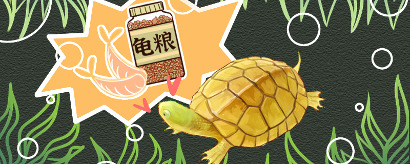 黄喉拟水龟寿命有多长