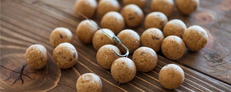 钓鱼用什么饵料用什么鱼钩(钓鱼用什么鱼饵钓)