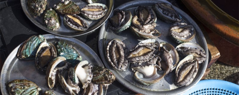 鲍鱼的眼睛和嘴能吃吗