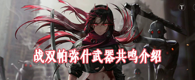 战双帕弥什武器共鸣介绍