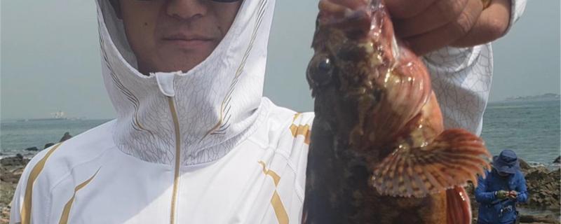 近岸海钓用什么鱼饵用什么鱼钩(近海海钓应该用什么钓法)