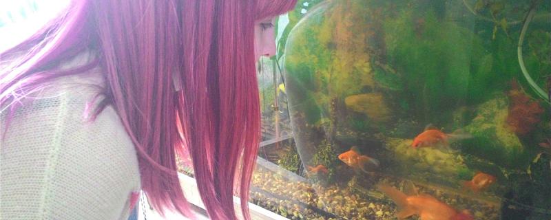 爆氧多久能除自来水中的氯除氯还有哪些方法(爆氧多久除氯气)