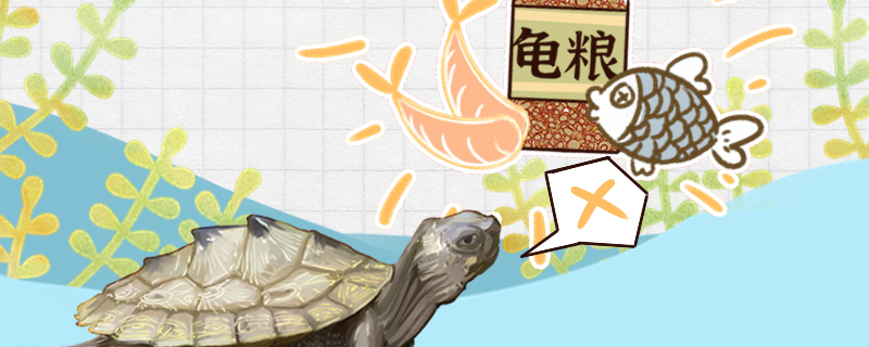 地图龟不吃东西是什么原因怎么治疗(地图龟不开食怎么办)