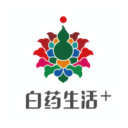 云南白药白客合一