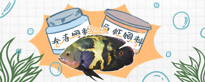 地图鱼吃什么饲料需要喂增红饲料吗(地图鱼喂什么发色好)