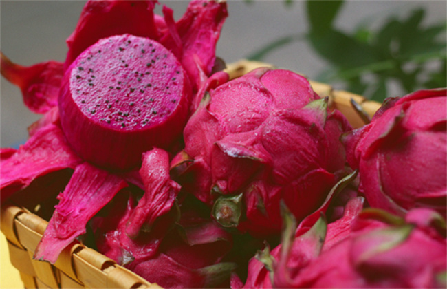 红心火龙果的功效与作用及禁忌症