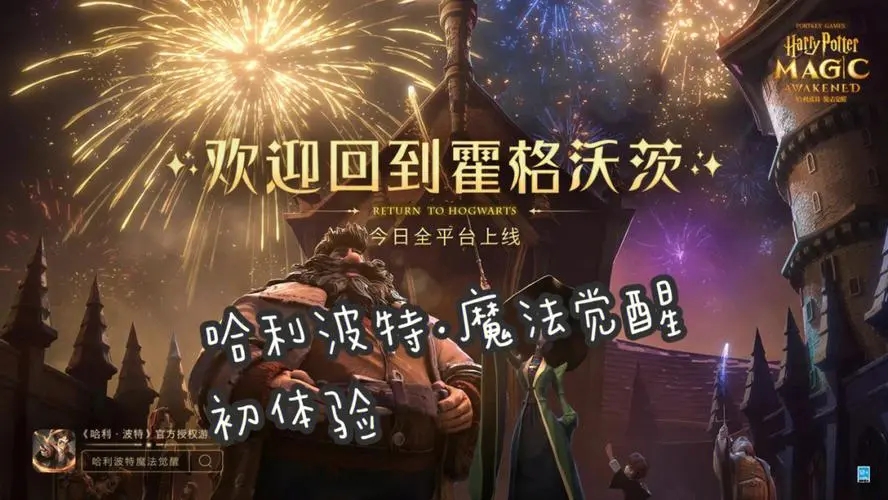哈利波特魔法觉醒PK卡组