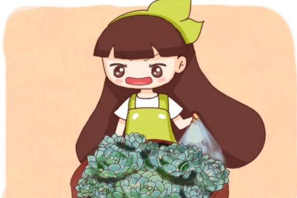 这7种多肉夏天千万别断水否则秋天全玩儿完！(多肉夏天难养是哪几个月)