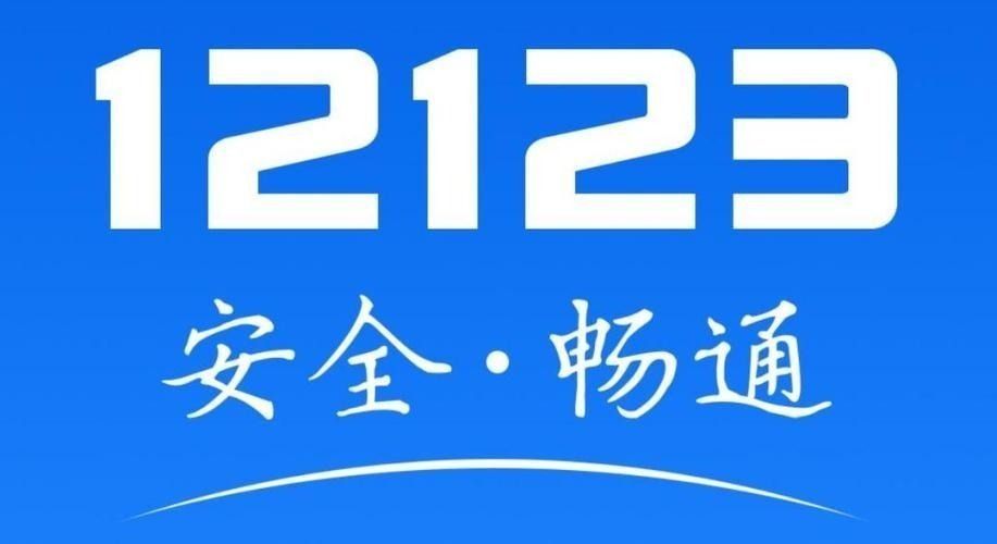 交管已缴纳罚款怎么看照片