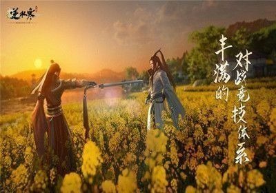 逆水寒门卫问题