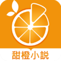 甜橙小说阅读