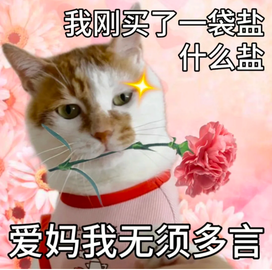 有哪些冷门小众但好喝的茶叶推荐品牌