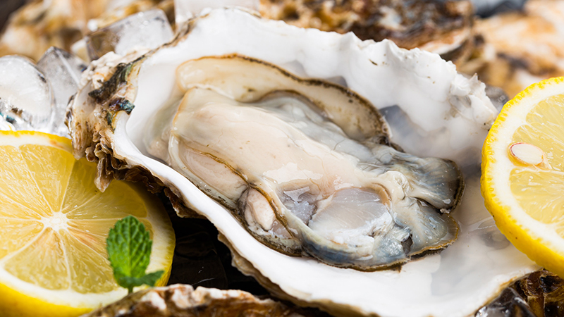 生蚝可以多吃吗一天吃多少生蚝合适呢