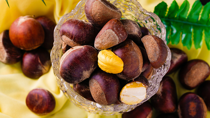 板栗怎样储藏能过冬