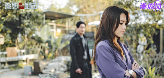 叠影危情分集剧情介绍