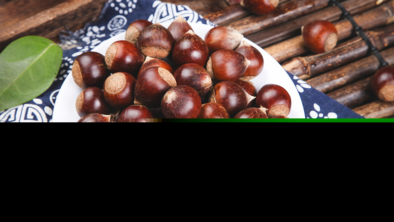 板栗怎样储藏能过冬