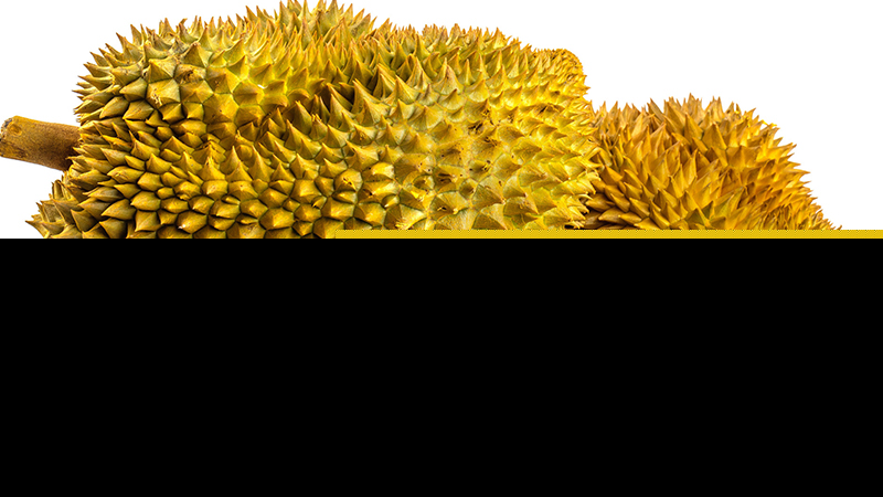 榴莲几月份最好吃榴莲几月份最好吃(榴莲几月份适合吃)