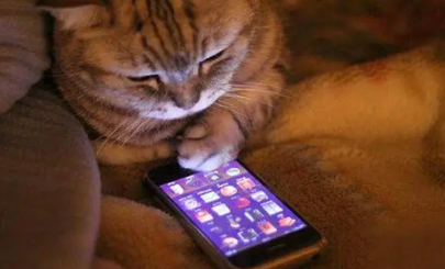 关于拼多多邀请好友助力的通报 公安局