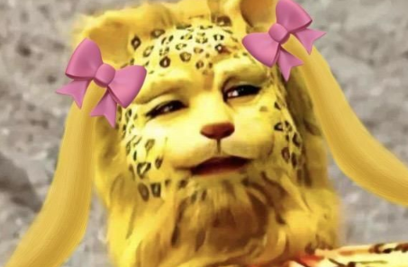 金钱豹图片手机壁纸