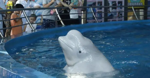 武汉海昌极地海洋公园