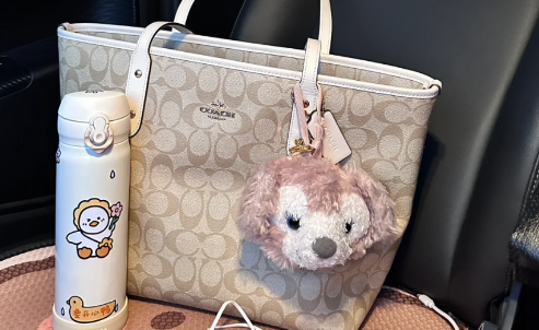送女生coach的包怎么样