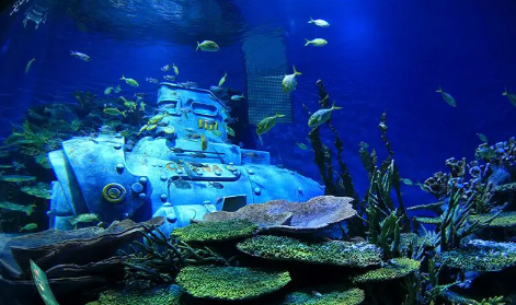 武汉海昌极地公园免费门票能玩哪些项目武汉海昌极地公园免费门票看魔术还要另收费吗(武汉海昌极地海洋公园)