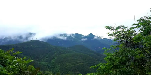 广东11月下旬天气情况