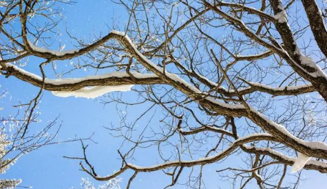 情人节送男朋友什么礼物最好