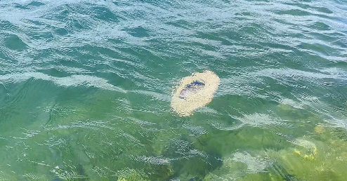 什么叫断崖式下降