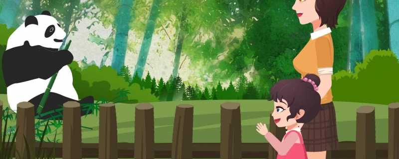 大熊猫名字由来熊猫为什么叫做熊猫(大熊猫为什么叫猫呢)