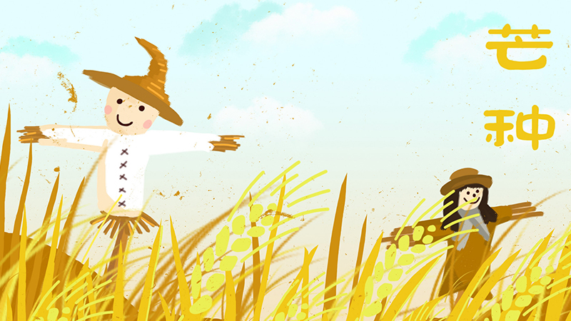 芒种吃什么传统食物蛋(芒种吃什么食物最好)