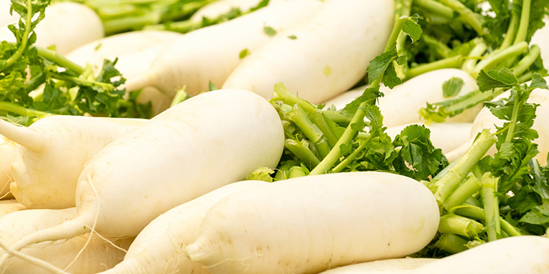 春分吃什么1、春菜(春分吃什么主食和什么菜?)