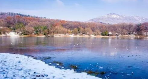 南京今年过年天气